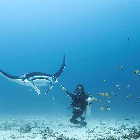Blue Marlin Dive Komodo Labuan Bajo Ngoại thất bức ảnh